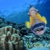 triggerfish_titan_bro_b_ni_h_0576_egy1051.jpg